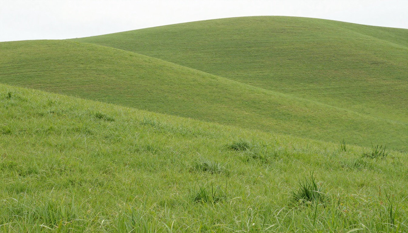 Où se trouve Vertiol : localisation et présentation du hameau