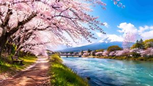 Où partir en avril, au Japon par exemple.