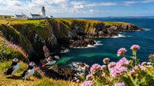 L'île de Rathlin island.