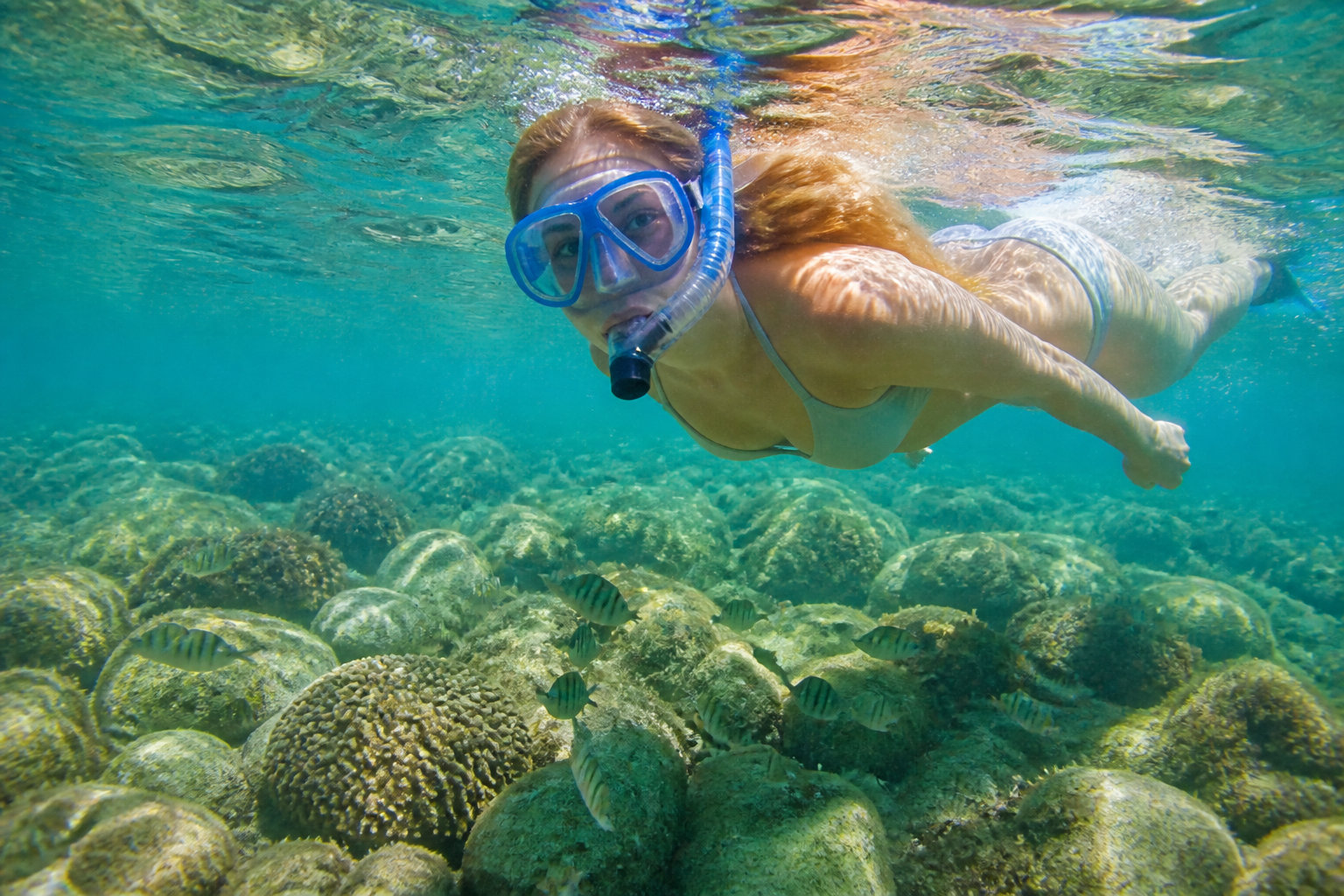 Que faire à la Playa de Sisurko : baignade, snorkeling et randonnée côtière