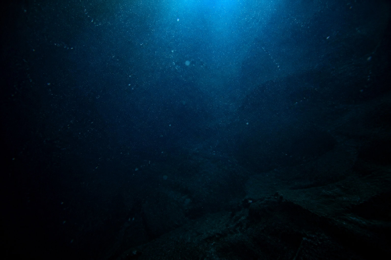 Y a-t-il vraiment de la vie là-bas ? 🌊
