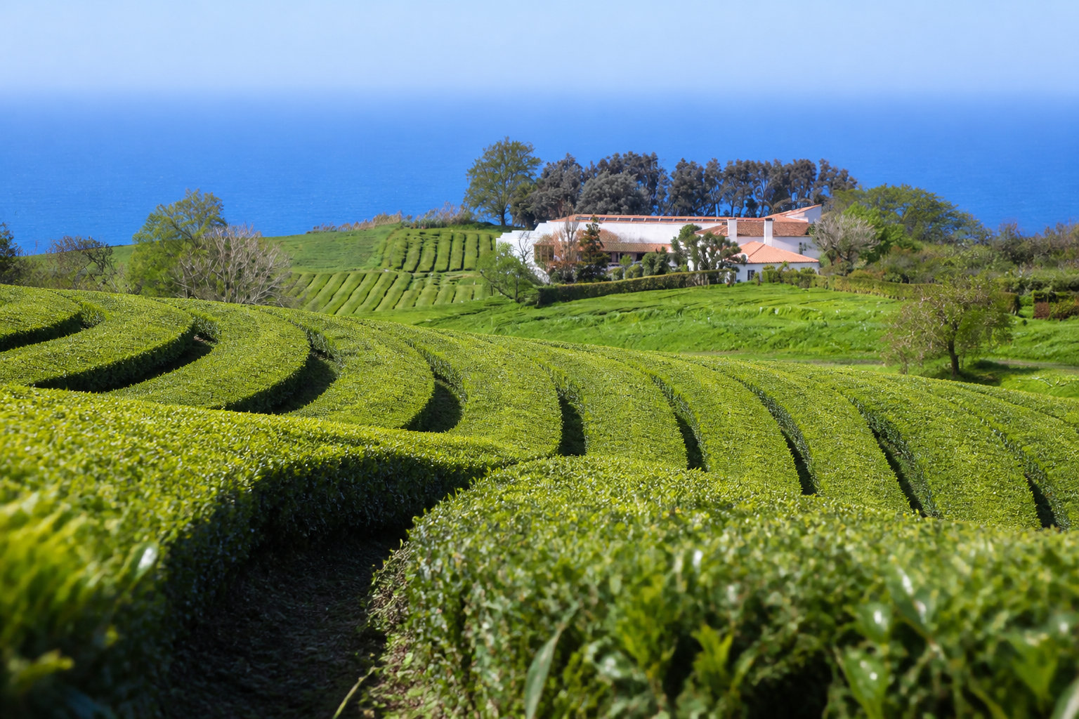 Quelles sont les spécialités locales à goûter absolument ☕