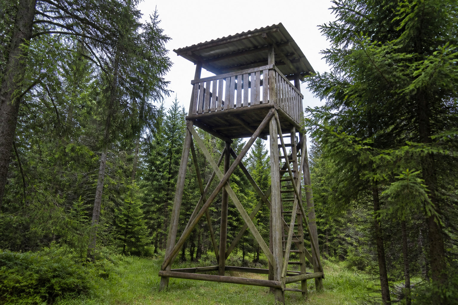 Découvrir le massif de la Croix-Scaille et ses sentiers sauvages