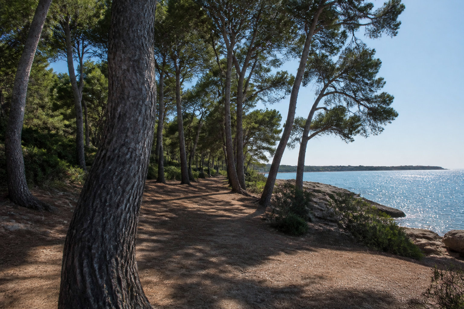Les plages intermédiaires entre confort et nature