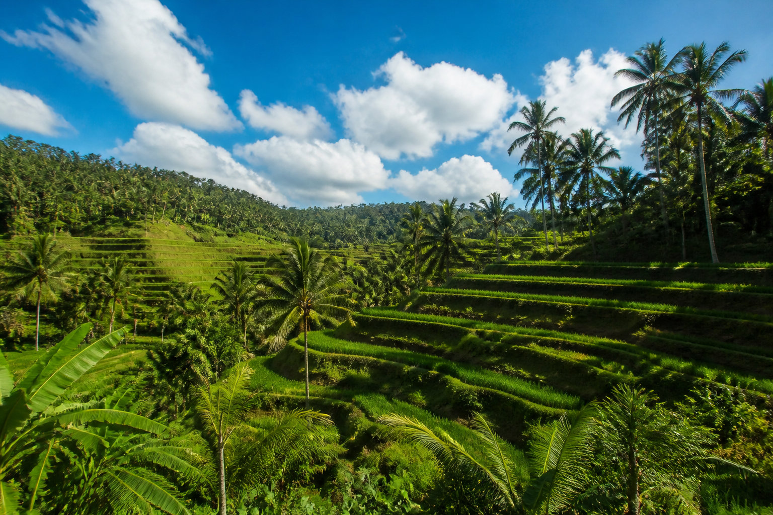La météo à Bali en juillet et les conditions idéales ☀️
